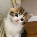 avatar Kendra Scott 💞