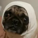 moquitq_marvel avatar