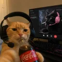 00mattlee00
