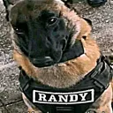 povelitelanusov228_10516 avatar