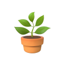 Grow