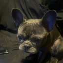 avatar 𝗸𝗿𝗮𝘀𝗵.