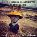 gatielectro_13227 avatar