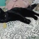 mleos_2345