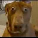 mrsmartoleary