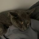 View gabekx's Profile