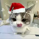 frankoofcourse