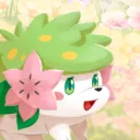 kurisubrooks