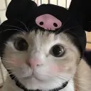 lucasberek