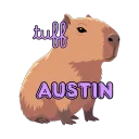 tuff._.austin