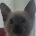 logan006228