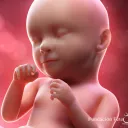 aborto_pipi1 avatar