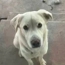 manuelito_10198 avatar