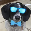 syl2vony
