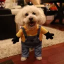 wallybot