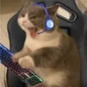 my_kaiser