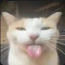 uuhhh123445____05733