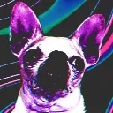 murgle64