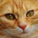 ragequit5656_49568 avatar