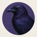 estelledata