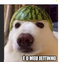 nexto123__.