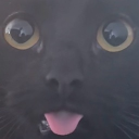 avatar ᴺᵒˣˣ⸸ᵒᵘˢ