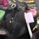 avatar ᴺᵒˣˣ⸸ᵒᵘˢ