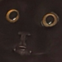 avatar ᴺᵒˣˣ⸸ᵒᵘˢ