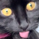 avatar ᴺᵒˣˣ⸸ᵒᵘˢ