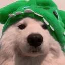 dersharky_