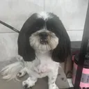 random_lol7273638