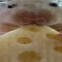 fitmouse