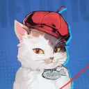 seed_support