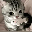tszying_jazzy