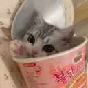 tszying_jazzy