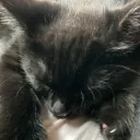 toast1e3
