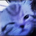 banana_lea_26553 avatar