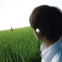 prodanml