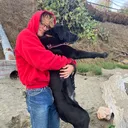 vincent_43913