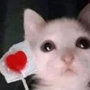hoodlumkill_