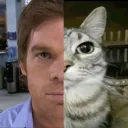 portiolirbjj
