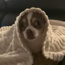 luisrio247_38797 avatar