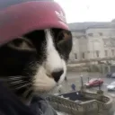 personthecat