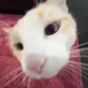_.repo