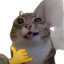Ambio