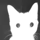 theravens3rdeye
