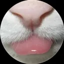 pharsyd3 avatar