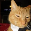 chatcharmant