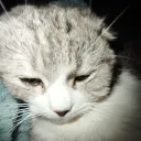 Аватар s1nkman.