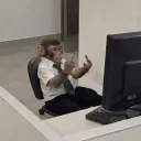 chophuey